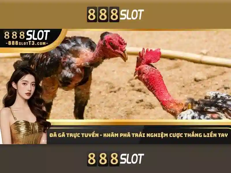 Tổng quan 888 slot 44