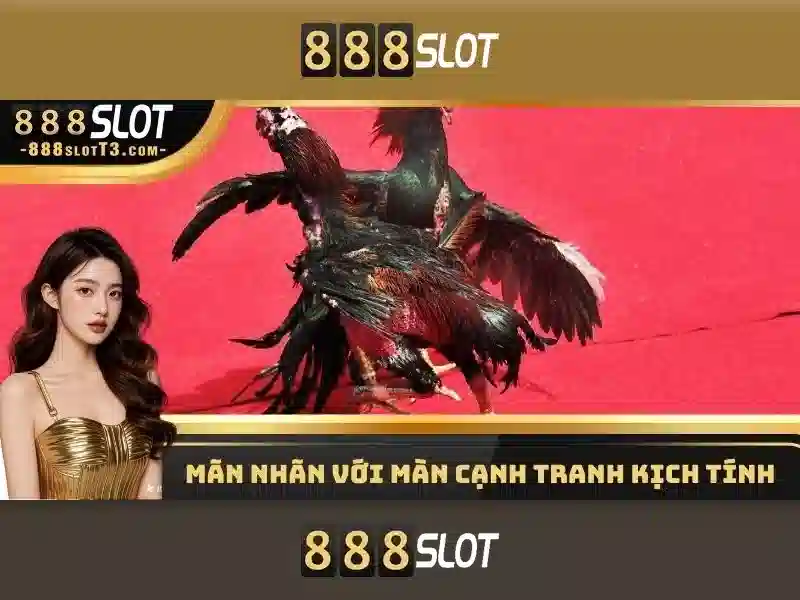Giao diện và trải nghiệm người dùng
