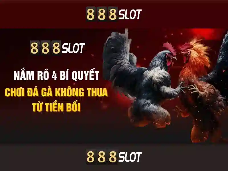 Tại sao 888slot nổi bật