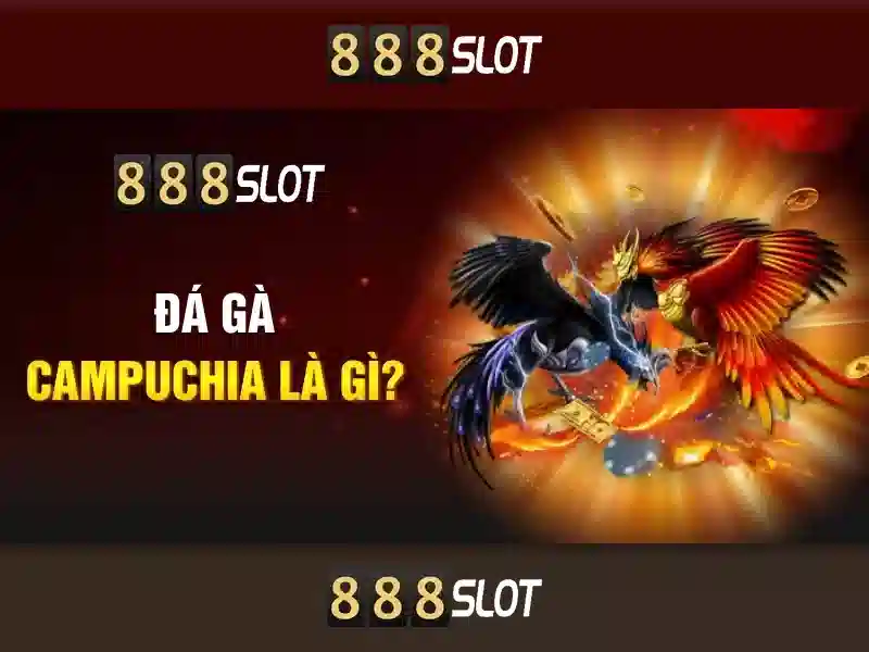 Độ tin cậy và an toàn khi chơi tại 888slot
