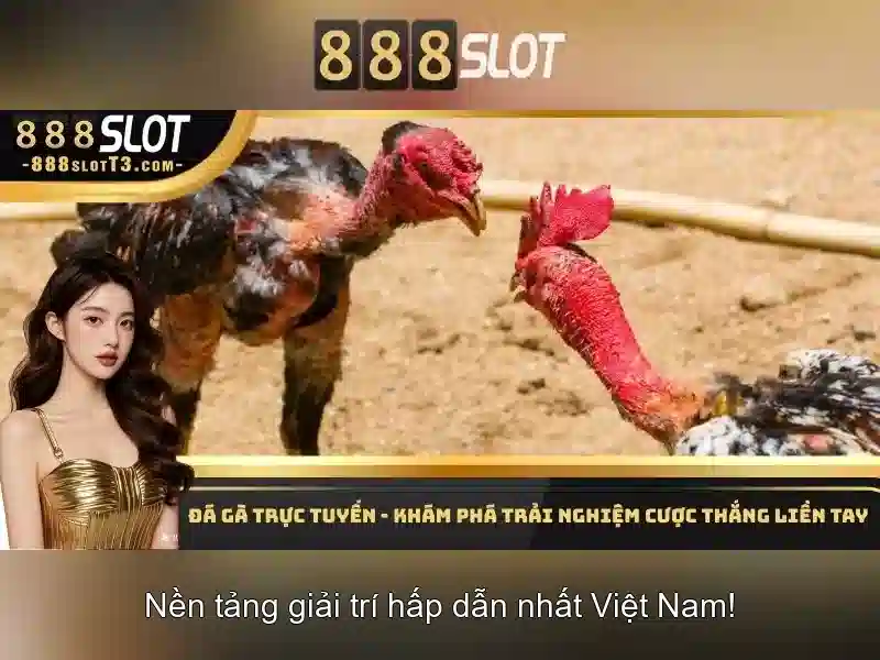 Hướng phát triển và tầm nhìn tương lai