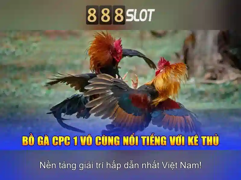 Khuyến mãi và hỗ trợ người dùng