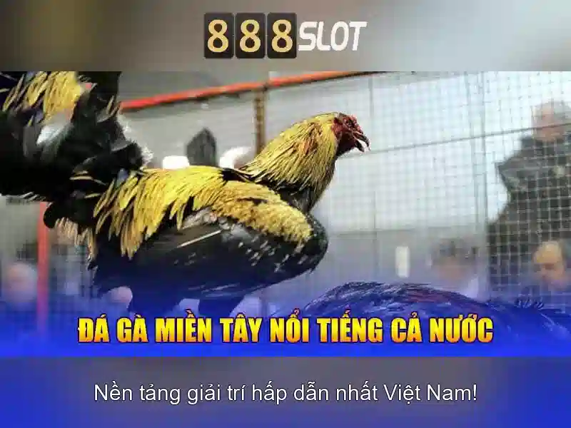 Tại sao chọn 888slot cho người chơi Việt Nam