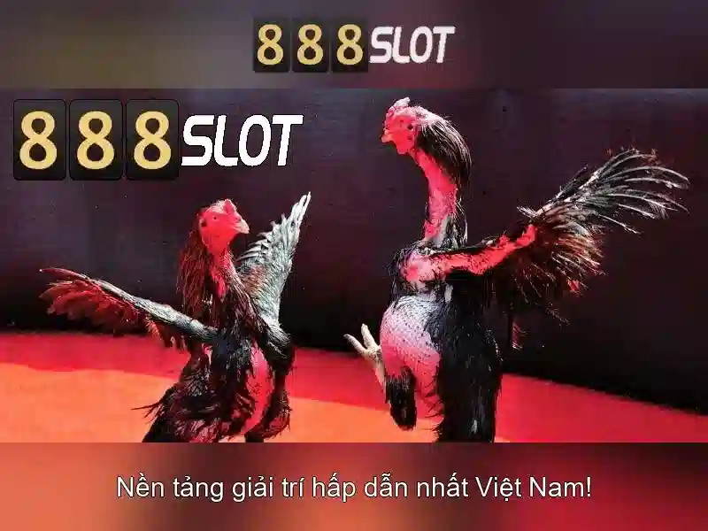 Kết luận