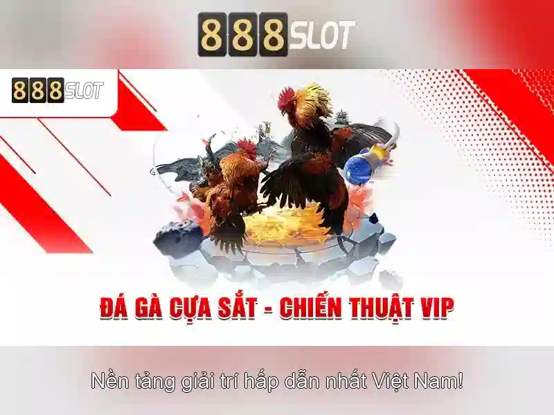 Trải nghiệm người dùng