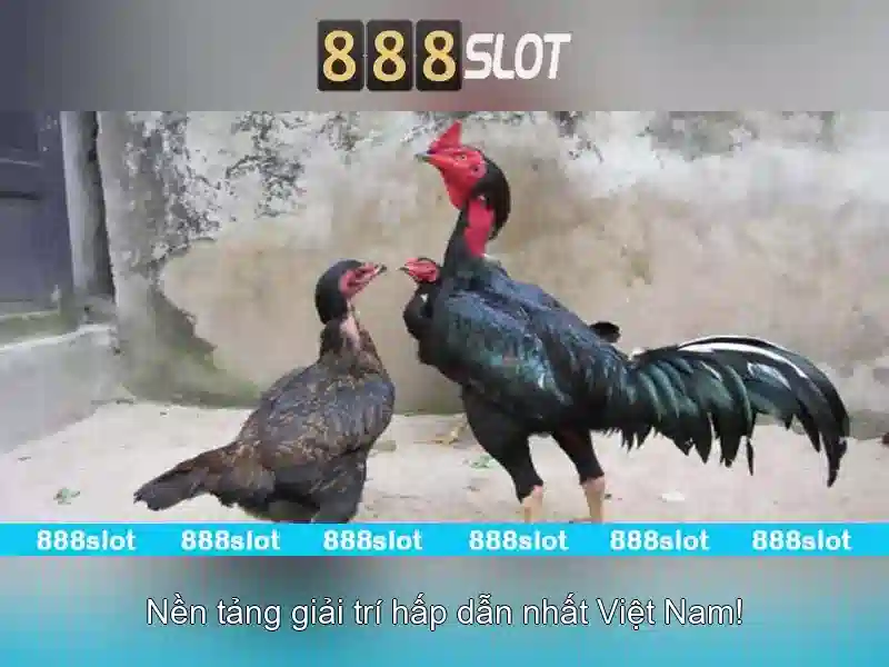 Các sản phẩm và dịch vụ cốt lõi – ứng dụng của combo slot 888