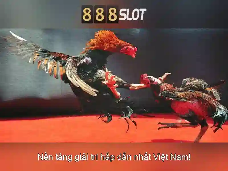 Slot hàng đầu và jackpot