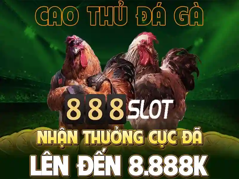 Trải nghiệm người dùng và phản hồi cộng đồng 