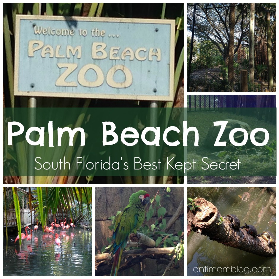 Palm Beach Zoo: South Florida’s Hidden Gem