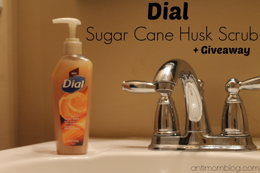 Dial Sugar Cane Husk Scrub Hand Soap + Giveaway - The Anti Mom Blog